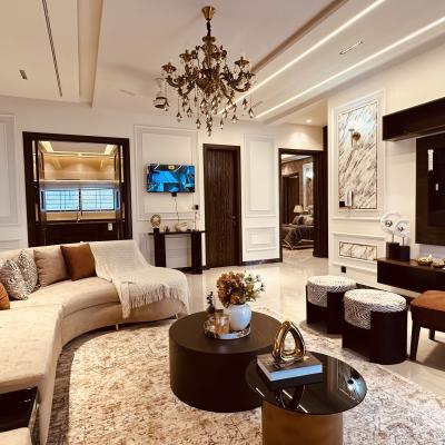 Solar Installed Fully Furnished 1 Kanal Modern Design House for Sale