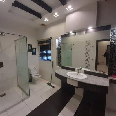 Elegant 1 Kanal Fully Furnished House For Rent In DHA Lahore Phase 5