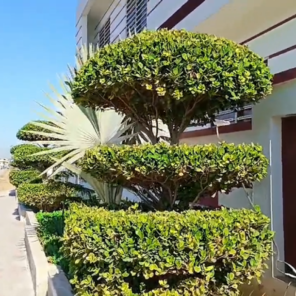 1 Kanal Double Unit House Available For Sale In Gulstan E Sahat E-18 Islamabad-10