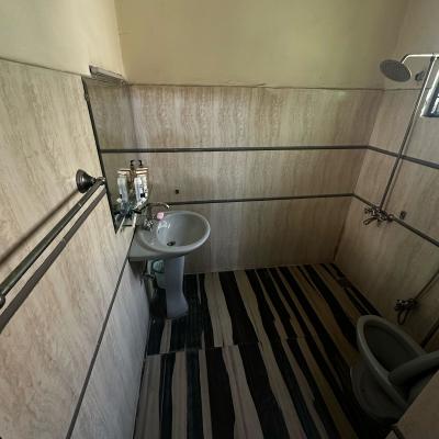 Luxury 10 Marla Corner Full House With Basement Available For Rent In Askari 10