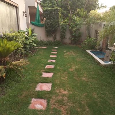 Prime Location 1 Kanal Lower Portion Available For Rent in DHA Lahore Phase 3