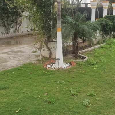 2 bedrooms Farm House Available For Rent In Bedian Road