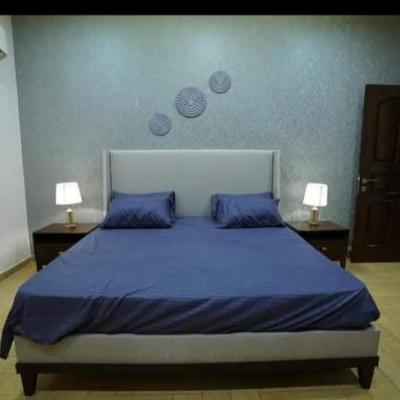 DHA Phase-3 House for Rent 1 Kanal Fully Furnished Modern House -3