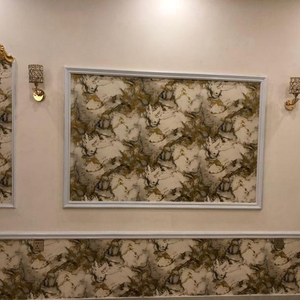 10 marla Lower Portion available for rent-3