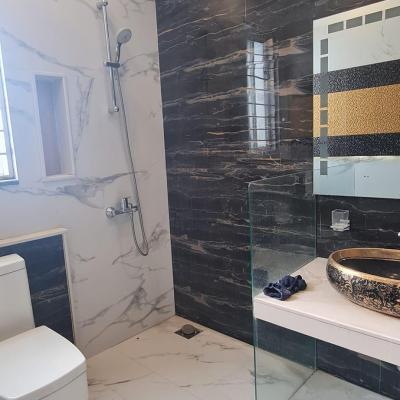 Ex Air Avenue 10 Marla House For Rent Fully Basement