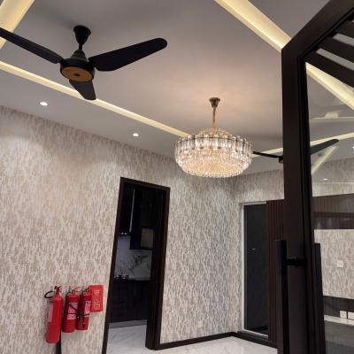 Brand New 1 Kanal Lower Portion House Available For Rent In DHA Phase 7 Lahore.