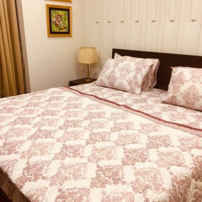 Luxury Furnished Apartment for Rent Near Emporium Mall