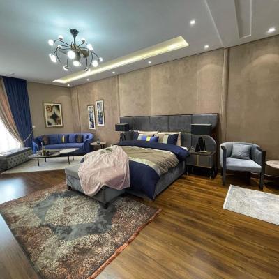 2 Kanal Ultra Modern Design Fully Furnished House With Basement For Sale in DHA Phase 6, Lahore